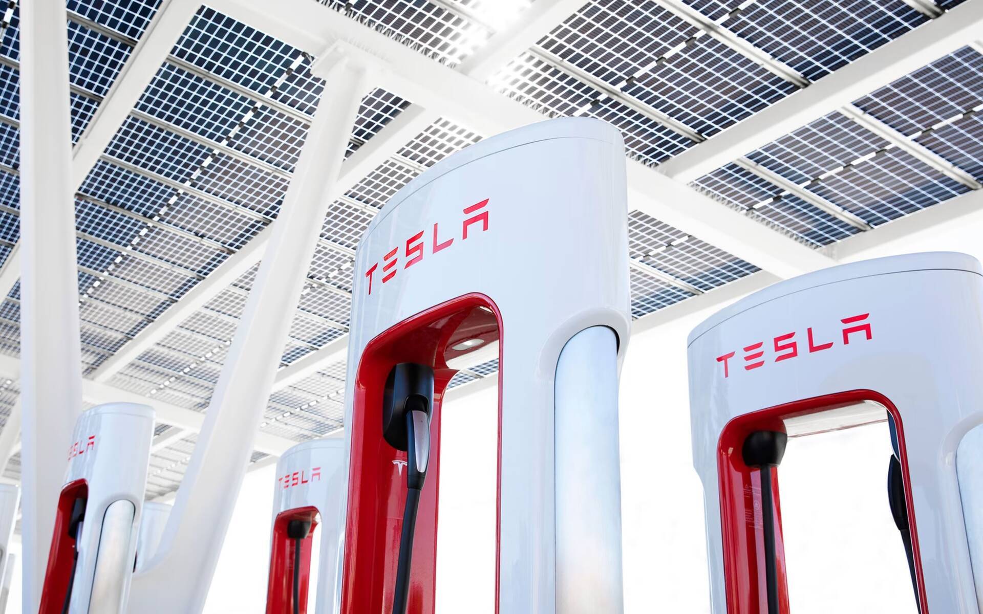 Elon Musk Confirms Expansion Of Supercharger Network Despite Job Cuts