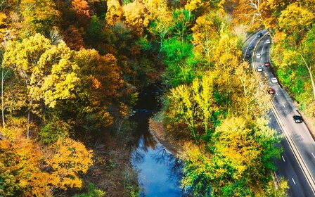 Gare aux dangers que pose l’automne sur les routes