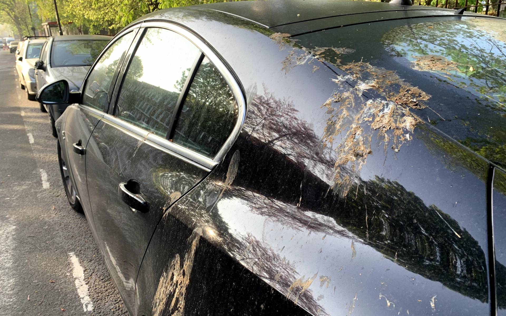Ford travaille sur une peinture résistante aux excréments d’oiseaux