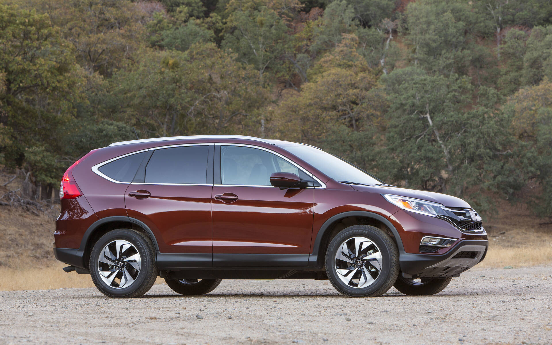 Pre-Owned Compact SUVs : Which Model Should You Choose?