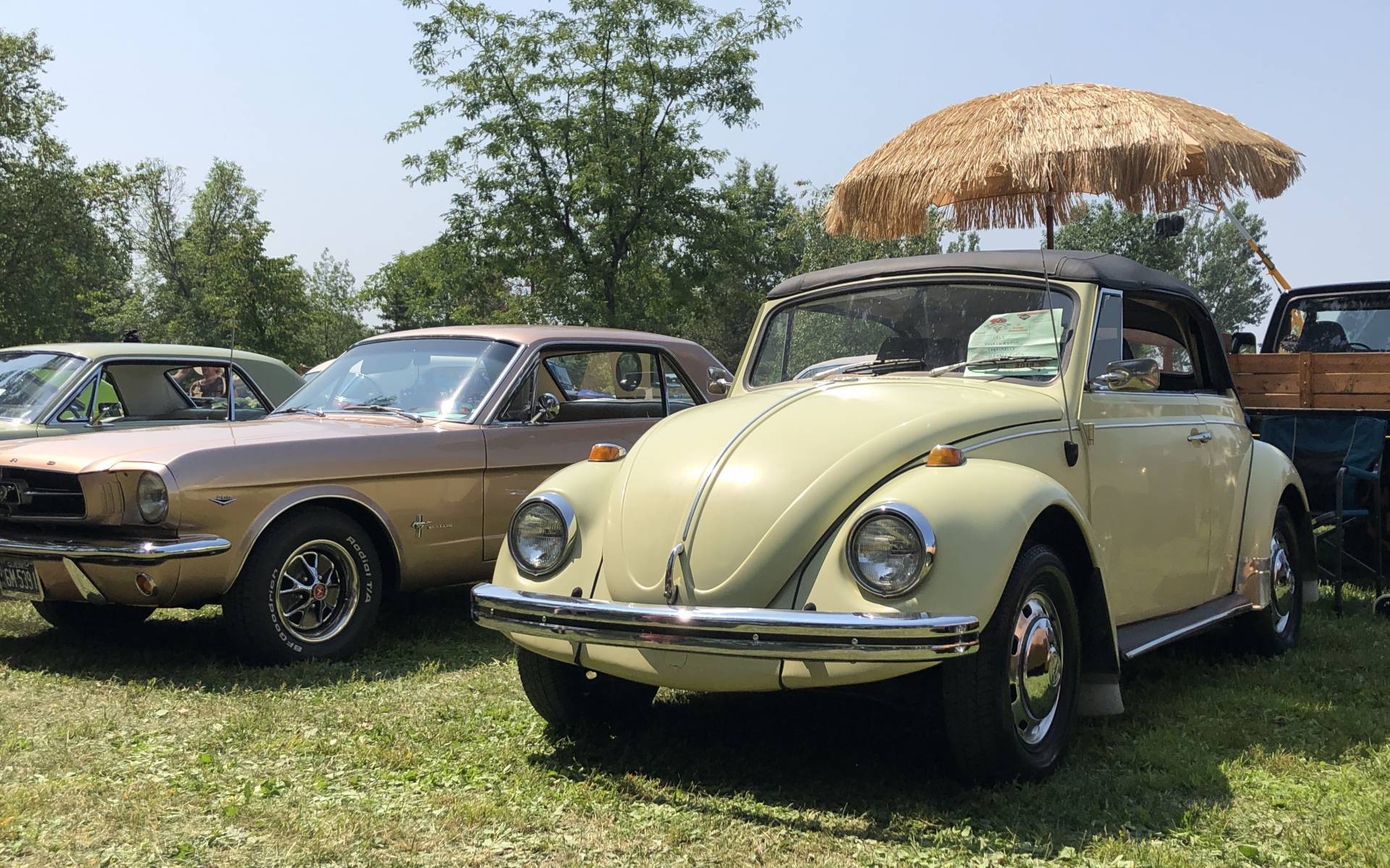 The Reasons to Choose Specialty Insurance For Your Collector Car  