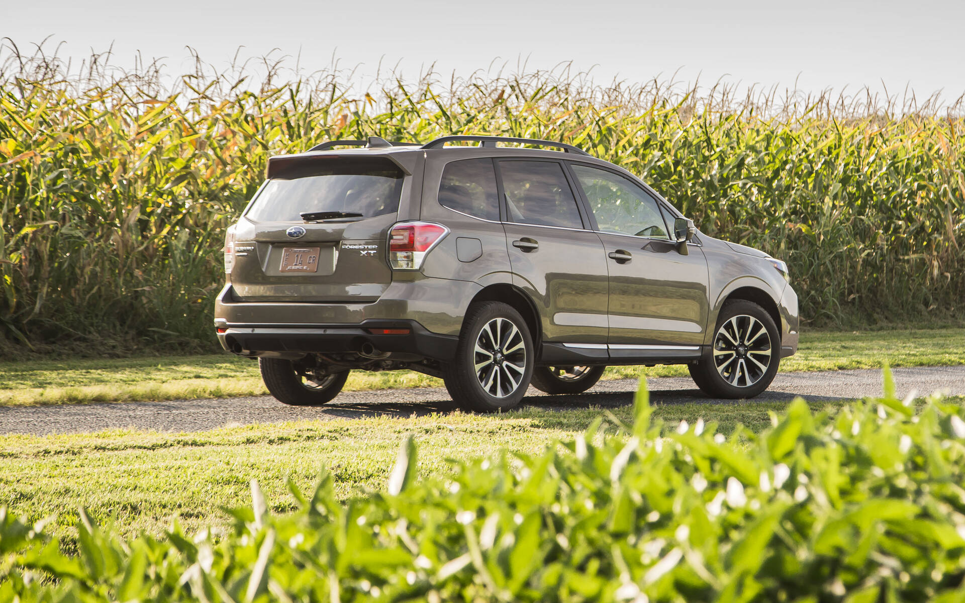 2014-2018 Subaru Forester: What Should You Know Before You Buy?