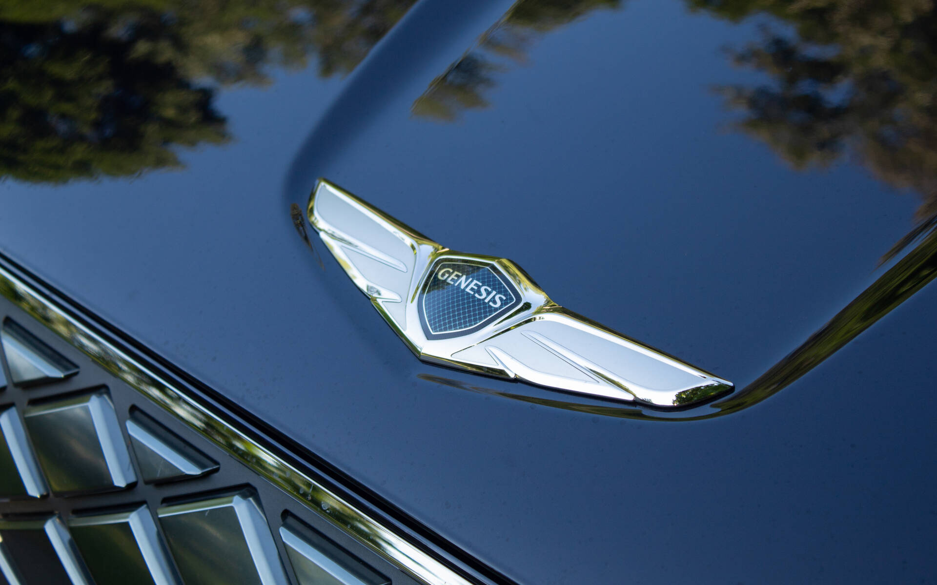 is-genesis-a-reliable-brand-otogo