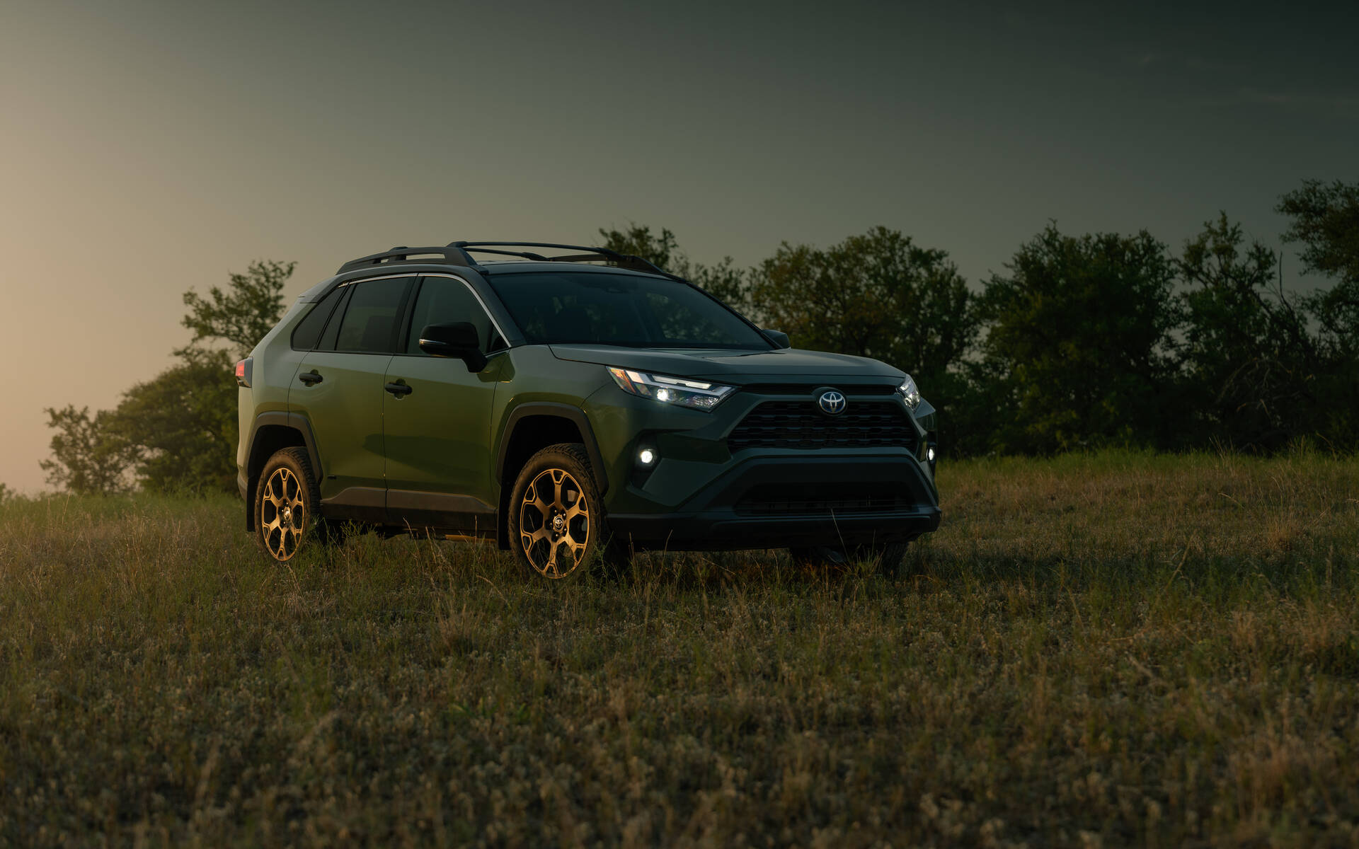 2024 Toyota RAV4  Everything You Need to Know