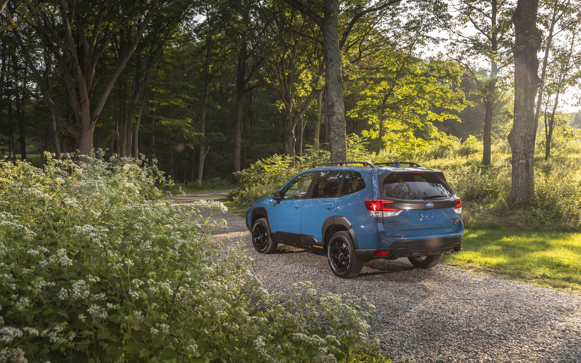 What to choose between the Kia Sorento, the Mitsubishi Outlander or the Subaru Forester?