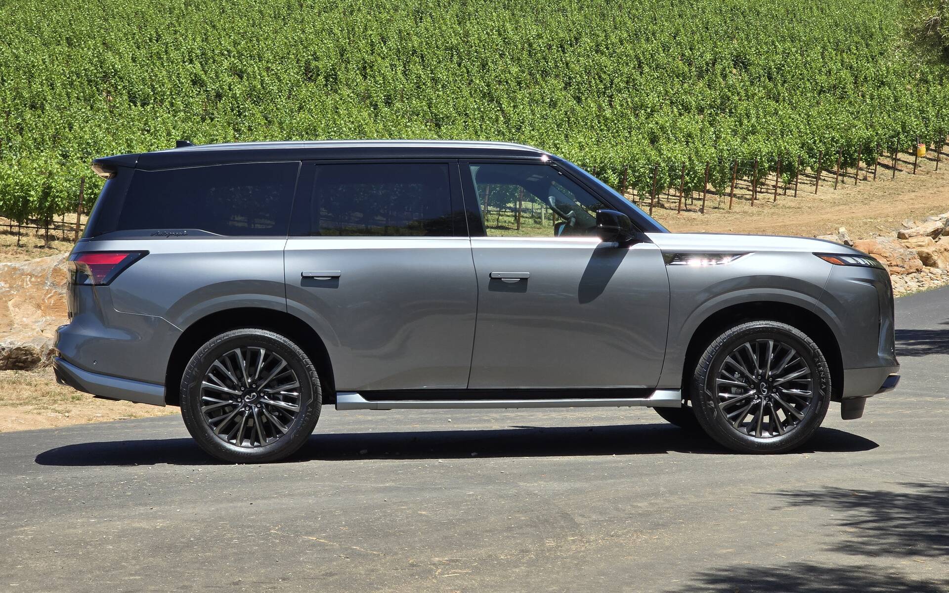 Infiniti QX80 2025: a new opportunity?