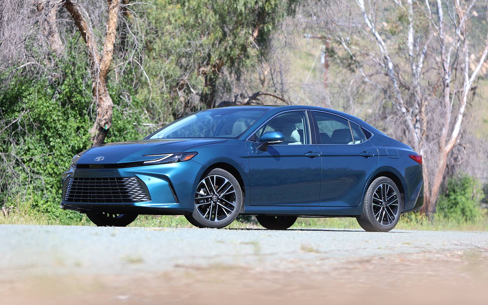 These 8 vehicle brands will have the most loyal customers in 2024