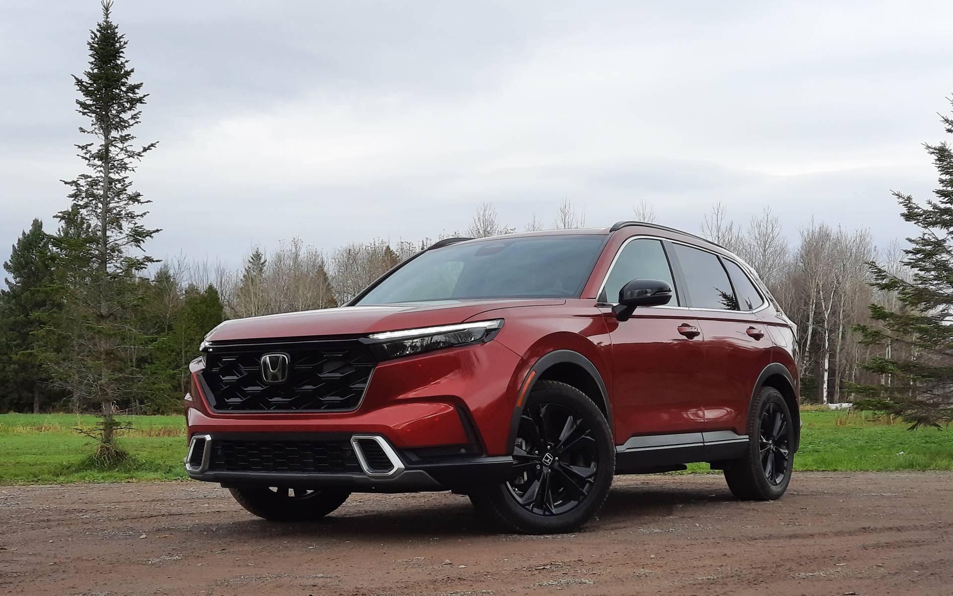 These 8 vehicle brands will have the most loyal customers in 2024