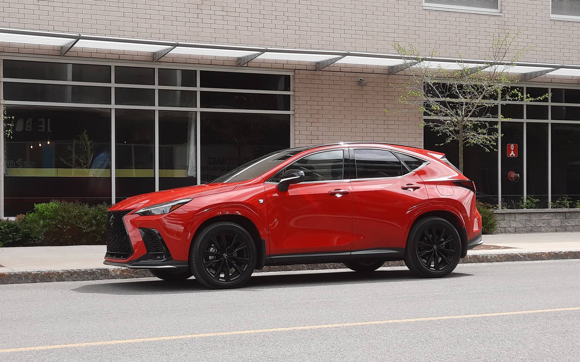 The 10 best vehicles of 2025 according to Consumer Reports
