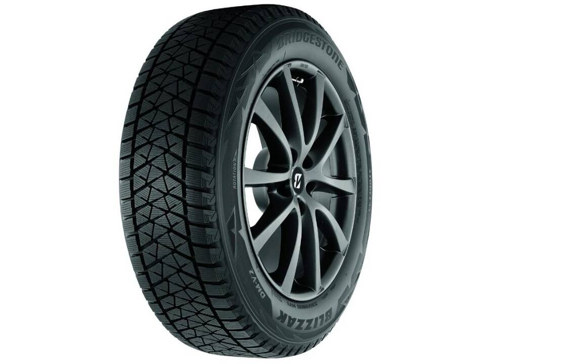 Bridgestone Blizzak DM-V2