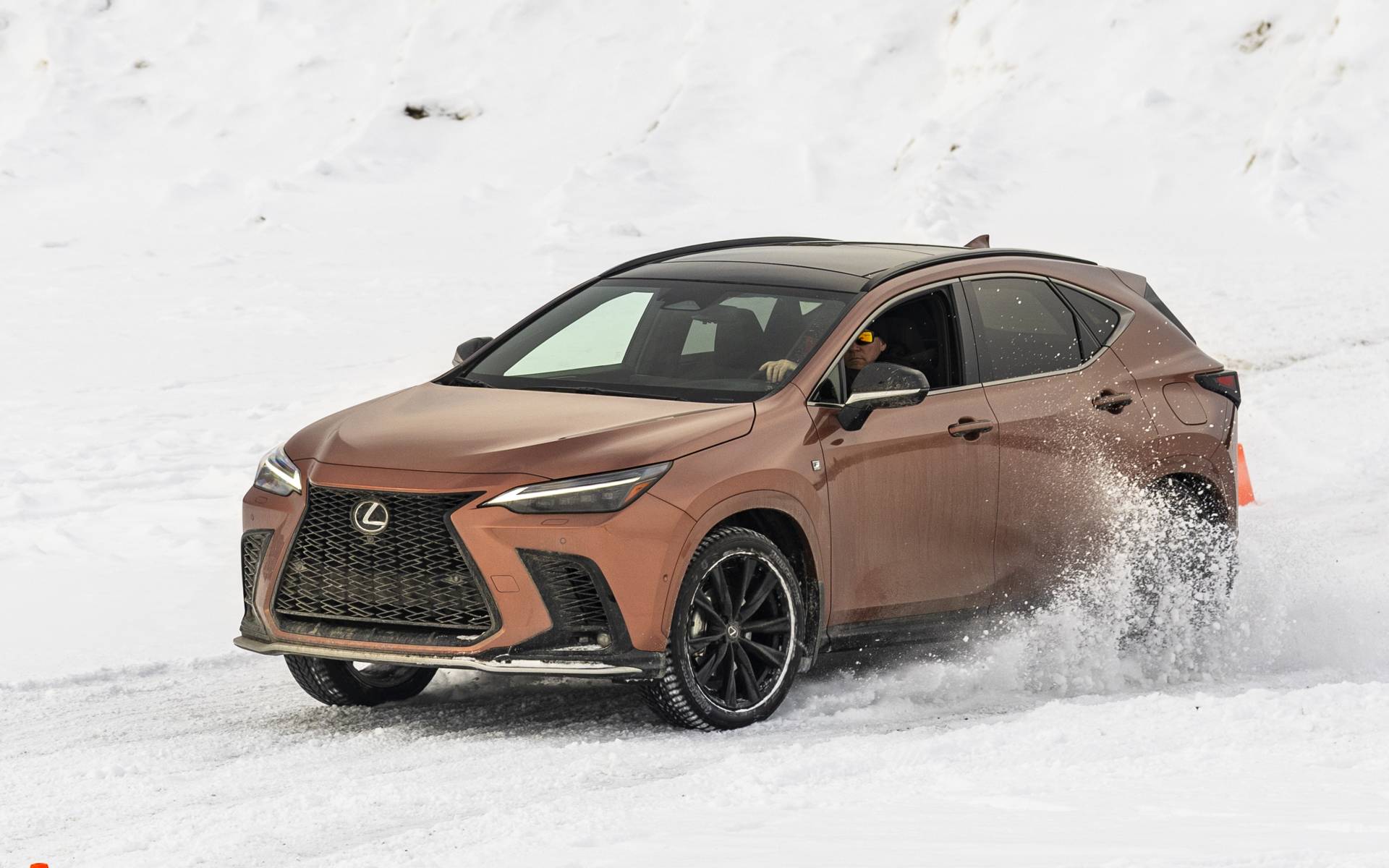 Top 10: the most reliable 2026 models according to Consumer Reports