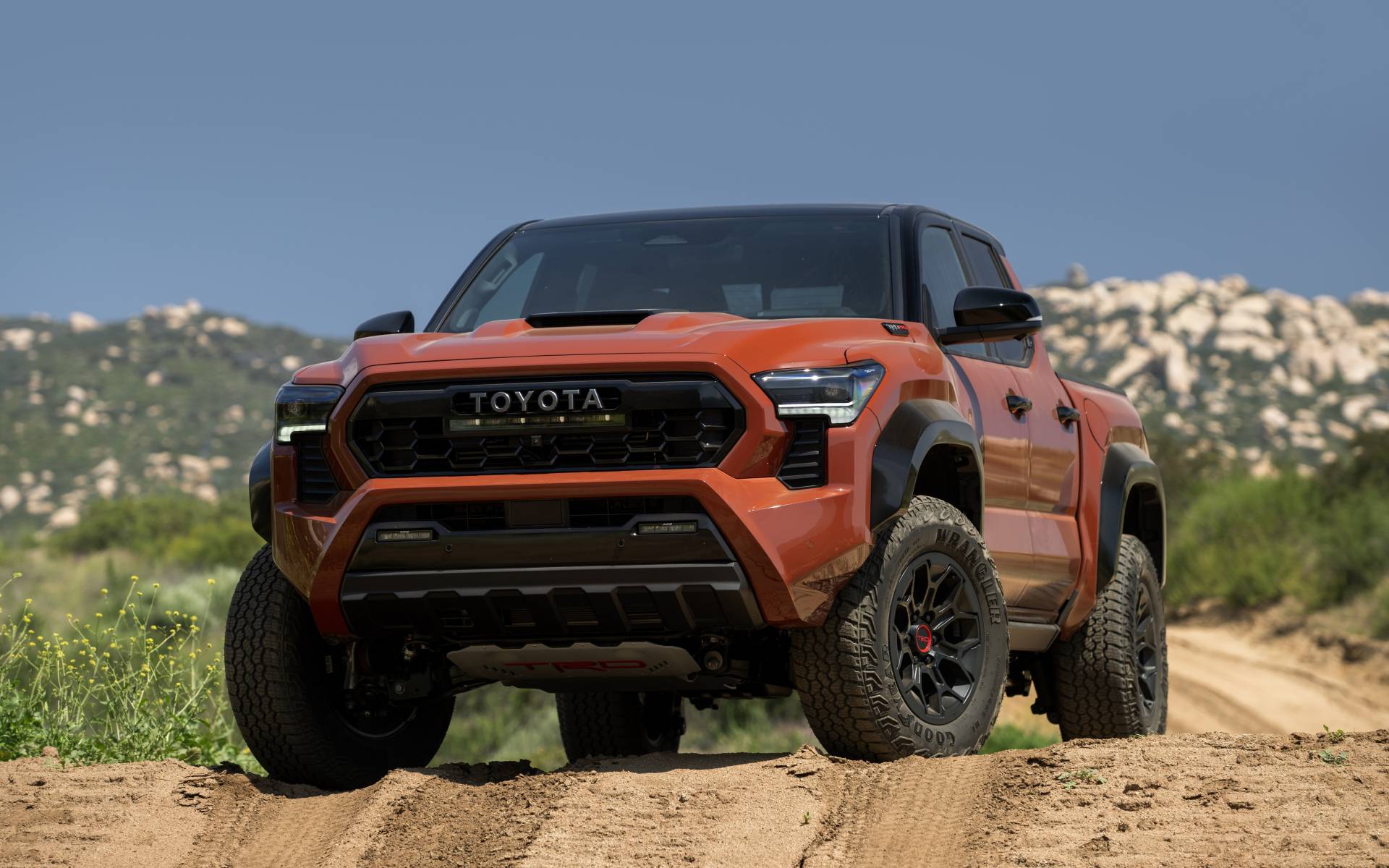 Top 10: the most reliable 2026 models according to Consumer Reports
