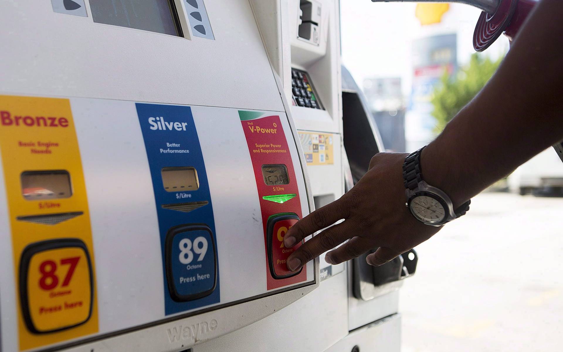 What are the risks of choosing regular gasoline instead of premium? 
