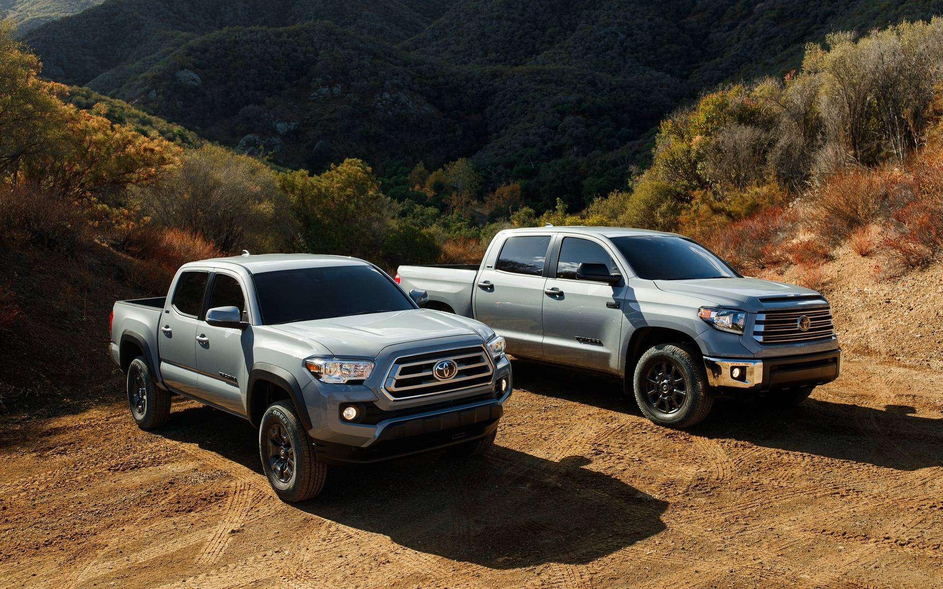 Toyota Tacoma et Tundra