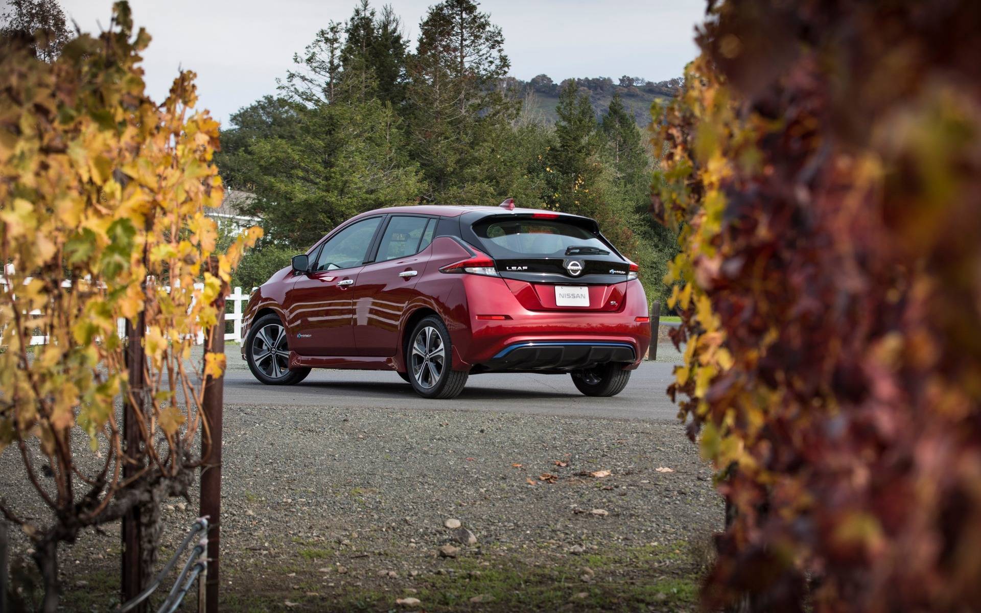 Nissan LEAF 2020