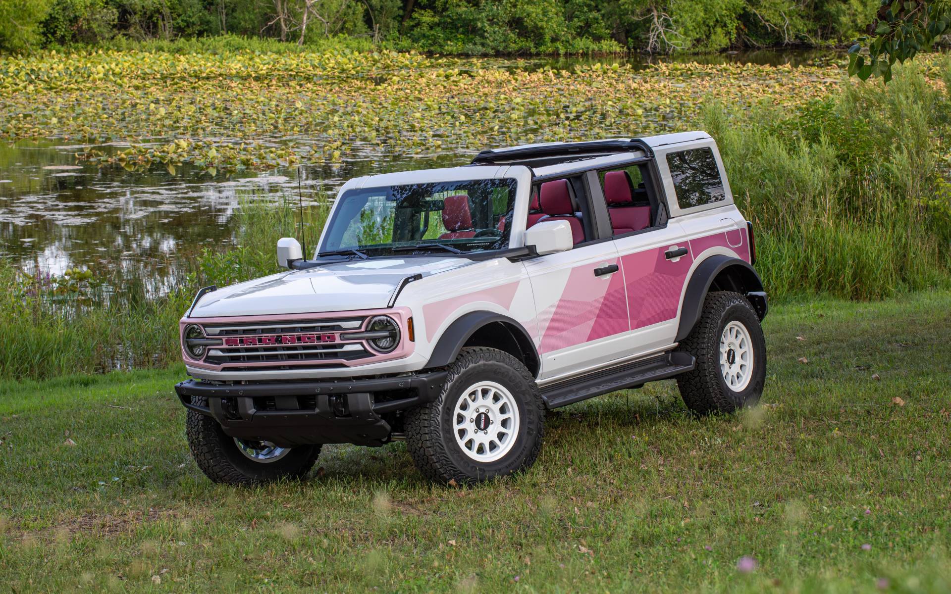 Ford lance un autre Bronco coloré en édition limitée 
